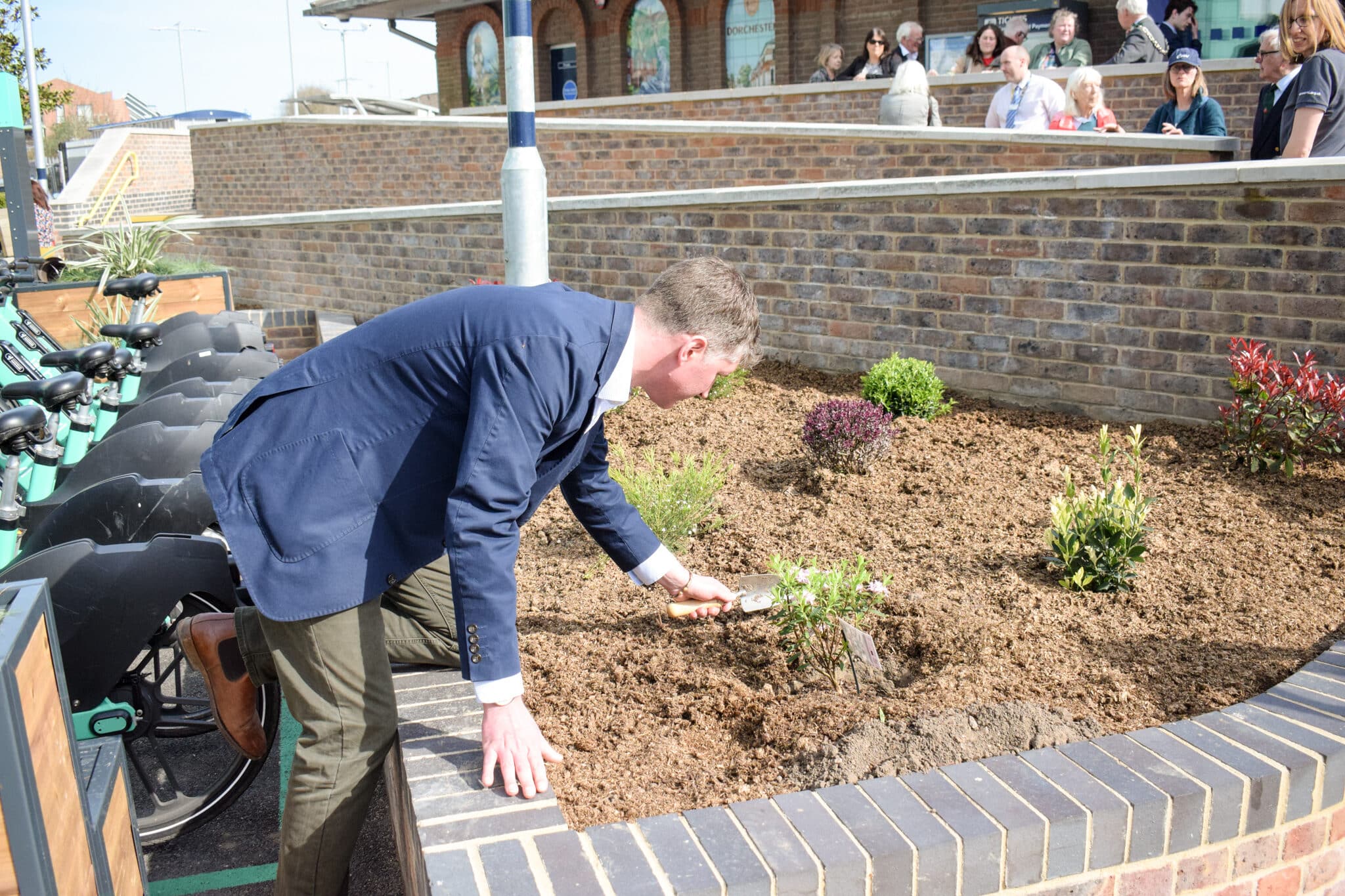 edward morello planting